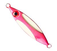 Leurres de Pêche pour Le Bar,Équipement de Pêche Antirouille pour Leurres Nageurs - Artificiels pour la Verticale au Jigging | pour Débutants et Pêcheurs Hommes Père en Zones Côtières Po