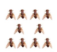 Leurres mouches souples axés sur le flux avec construction en PVC et mouvement de queue qui simule le mouvement des insectes vivants (petit n°05 10 pcspack)