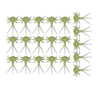Leurres Souples pour la pêche à la Mouche - 20 pièces pour Corps de Mouches de mai et de nymphes artificielles, kit d'hameçons montés à la Main | Leurres réalistes inspirés des Insectes pour la pêche