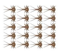 Leurres souples pour la pêche à la mouche - Kit de 20 pièces pour montage artisanal de mouches de mai et de nymphes | Assortiment de mouches artificielles imitant des insectes pour le saumon et la tru