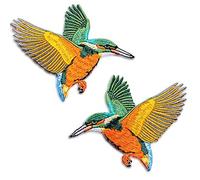 LEUYUAN Ecusson Brodé Patch Thermocollant (2 pièces Colibri) Autocollant de patch Broderie Patch Appliqués à Coudre pour Vêtement t-Shirt Jeans Sacs À Dos DIY