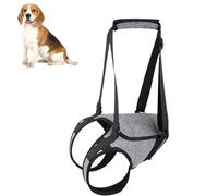 Levage de chien Support de chien Support de harnais de chien senior harnais de chien pour les jambes arrière Support de chien pour chien Levage de chien Réhabilitation ca