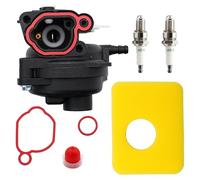LEVANLIGHT Kit carburateur 595656 591979 799583 pour moteurs Briggs & Stratton 300E 450E
