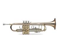 LEVANTE LV-TR6305, tube de périnée B