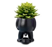 LEVDRO Piss Pot Planter, Nouveauté Pipi Planteur Pot - Verser de l’Eau, Pipi Funny Vase, Taille du Jardin 5,3 » 13,5 cm, Pot de Fleur Funny Vase Home Decor (Black)