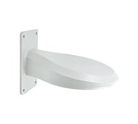 LevelOne CAS - 2314 Wall Mount