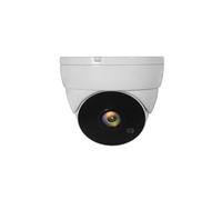 LevelOne ACS-5302 Caméra de Sécurité CCTV Dôme Int/Ext, Capteur CMOS 1/3", Focale 3.6mm, IR 30m, IP67, PoE DC12V/1A