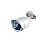 LevelOne ACS-5602 Caméra CCTV Extérieure Balle Focale Fixe 3.6mm, LED IR 30m, IP67, Capteur CMOS 1/3", Jour/Nuit, Alimentation 12V 1A