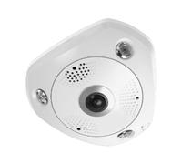 LevelOne FCS-3095 Caméra IP Sécurité 12MP 4000x3000 H.265+ Objectif 180° PoE IP67 IK10 Vision Nocturne 15m Audio Bidirectionnel