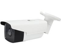 LevelOne FCS-5092 - Caméra de surveillance réseau - extérieur - résistant aux intempéries - couleur (jour et nuit)