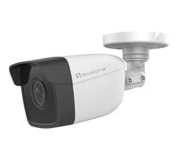 LevelOne GEMINI series FCS-5201 - Caméra de sécurité réseau - extérieur, intérieur - résistant aux intempéries - couleur (jour et nuit)