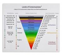 Levels of Consciousness Chart Mindfulness Awareness Guide Personal Growth Diagram Canvas Print Wall-Art for Study Office Decor(Framed,12x18inch(30x45cm))