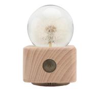 Levemolo Boîte à Musique Carrée Petite Taille Boule de Cristal Musicale de Pissenlit, Ornement de Fleurs Préservées, Décoratrice pour Chambre et Salon, Présent D’Anniversaire Fille, 1