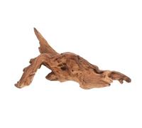 Levemolo Décoration Bois Naturel pour Aquarium Ornement Unique Bois Mort pour Créer Une Atmosphère Naturelle Votre Réservoir