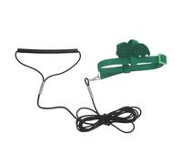 Levemolo Laisse D'entraînement au Vol pour Perroquet avec Harnais Sécurisé, Taille M, Couleur Verte, Corde de Dressage Extérieure pour Oiseaux, Harnais d'exercice Confortable et Ajustable