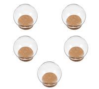 Levemolo Lot de 5 Cloches en Verre Transparentes Ø10 CM avec Bouchon en Liège Plat Couverture Protectrice pour Fleurs Éternelles Décoration Intérieure Bureau et Maison Vitrine Dôme