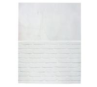 Levemolo Papier de Fond Photographie Double Face Imperméable en Papier Couché Réutilisable pour Photographie Flat Lay et Bijoux Différentes Couleurs