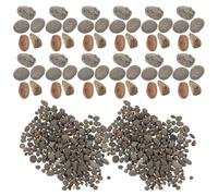Levemolo Pierres Naturelles de Rivière 2-5 MM Décor de Diorama Rocheux Mini Micropaysage Décoration de Jardin en Pierre Paquet de 50 G pour Aquarium Table de Sable et Mini-Jardin