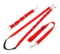 Levemolo Set De Cordes De Toilettage Réglables pour Chien Sangles Multi-usages pour Bain Toilettage Et Coupe des Ongles Sangles De Contention Confortables pour Animaux Domestiques