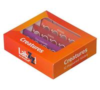 Levenhuk LabZZ C12 Creatures Educational Prepared Microscope Slides Set of 12 Animal and Insect Samples for Kids with Curiosity for Entomology and Zoology