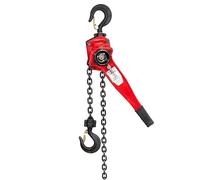 Lever Chain Hoist Capacity Heavy-Duty Round Clamps for Lifting Strapping Bundling Dragging- Smooth Action Pinces de levage(9T-1.5m)
