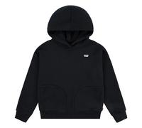 Levi´s ® Kids Sweat à Capuche Batwing Chest Hit