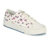 Levis Baskets basses SUMMIT LOW S in Blanc 40