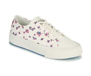 Levis Baskets basses SUMMIT LOW S in Blanc 40