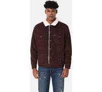 Levis Men's Type 3 Sherpa Cotton Mix Long Sleeve Denim Jacket Café de chicorée XL Male