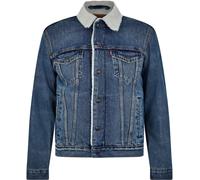 Levi's Type 3 Sherpa Trucker Veste Homme, Fable, XL