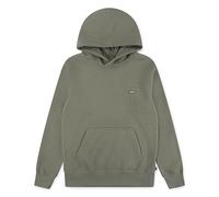 Levi's Kidsmini Batwing Hoodie Hooded Sweatshirt Capuche, Vert, 16 Ans Garçon