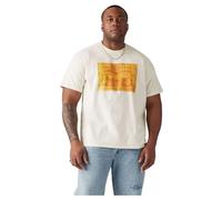 Levi's T-Shirt Big & Tall SS Relaxed Fit pour Homme, Plus Archival 2hp Pa, XXL