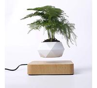 Lévitation Magnétique Flottant Air Bonsaï Pot Magnétique Lévitation Suspension Pot de Fleurs Micro Paysage Jardinage pour Home Office Décoration Cadeau de La Fête des Pères,Natural