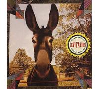 Levitation - World Around [Import]