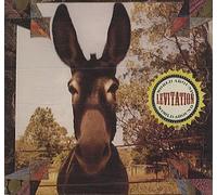 Levitation - World Around [Import]