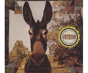 Levitation - World Around [Import]