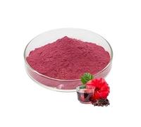 LEVL ORIGIN'S Poudre de Fleurs d'Hibiscus Séchées Bissap, 100% Naturel, Riche en Antioxydants, Colorant Naturel, Sans Caféine, Origine Afrique de l'Ouest, 200g