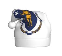 LEVNDIEJ Chapeaux de Père Noël avec drapeau de l'État du Massachusetts pour adulte, chapeau de Noël, chapeau de Noël unisexe pour fête de Nouvel An