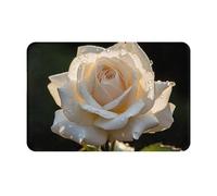 LEVNDIEJ Tapis de porte d'entrée d'intérieur avec imprimé rose blanche - Pour porte avant et arrière, garage