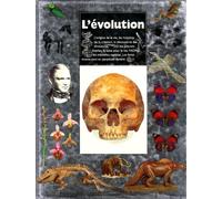 L'Evolution