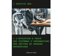 L'évolution À Venir Des Systèmes D'information Des Petites Et Grandes Entreprises