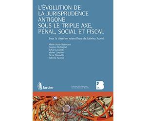 L'évolution de la jurisprudence Antigone sous le triple axe, pénal, social et fiscal