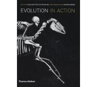 L'évolution en action