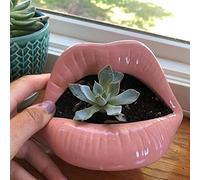 Lèvres En Forme Céramique Cache-pot Jardinière,Mini Céramique Succulente Pot,Sexy Bouche Ouverte Pots De Fleurs Cactus Pots De Plantes Accueil Bureau Jardin Extérieur Décor Lèvres -Rose b 13x11cm(5x4i