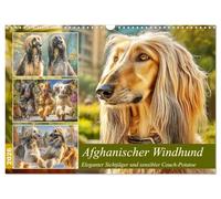 Lévrier afghan. Chasseur à vue élégant et potatoe de canapé sensible, Version française (Calendrier mural 2026 DIN A3 portrait), Calendrier CALVENDO mensuel