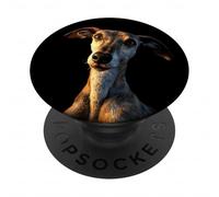 Lévriers Chères Amoureuses des Chiens Greyhound Lévriers PopSockets PopGrip Adhésif