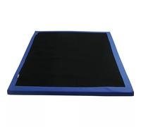 LEWFECBO Tapis de désinfection pour chaussures, tapis de désinfection pour laboratoire et élevage, tapis de désinfection d'entrée, pour hôpital, laboratoire, école, maternelle et agriculture
