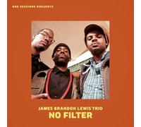 Lewis James Brandon - No Filter