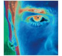 Lewis Taylor Stoned Part II (Vinyl) 12" Album