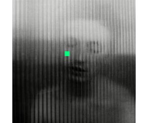 Lewis Watson - L'Amour Que Vous Voulez [LP]